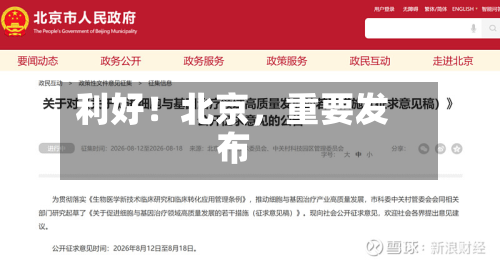 利好！北京，重要发布