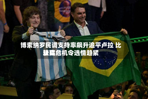 博索纳罗民调支持率飙升追平卢拉 比较高法院危机令选情趋紧