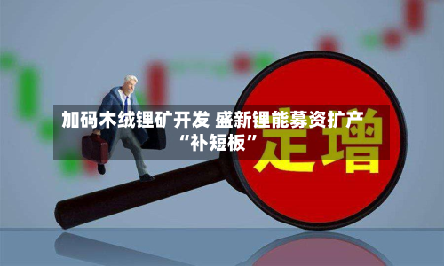 加码木绒锂矿开发 盛新锂能募资扩产“补短板	”-第2张图片