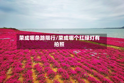 荣成哪条路限行/荣成哪个红绿灯有拍照-第2张图片