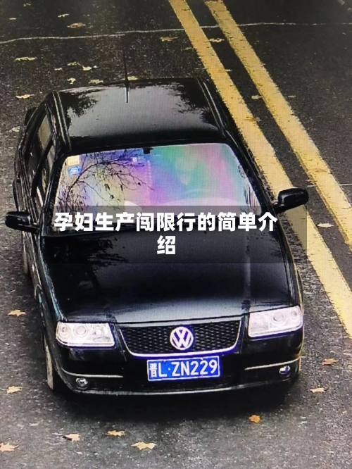 孕妇生产闯限行的简单介绍