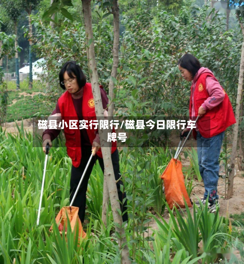 磁县小区实行限行/磁县今日限行车牌号-第2张图片