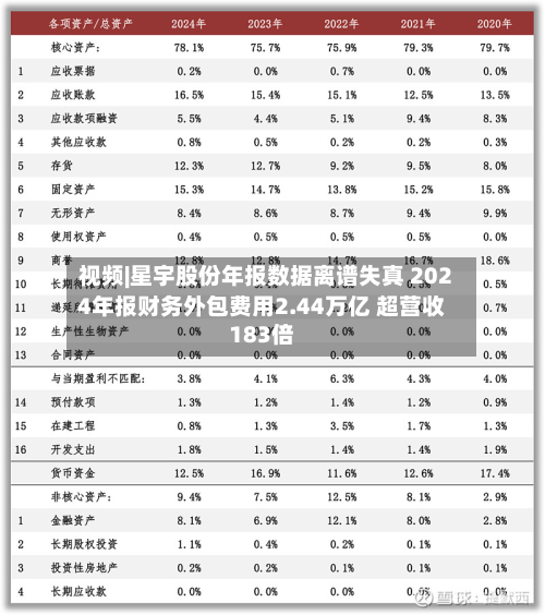 视频|星宇股份年报数据离谱失真 2024年报财务外包费用2.44万亿 超营收183倍
