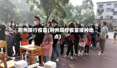 荆州限行疫苗(荆州限行疫苗接种地点)-第3张图片