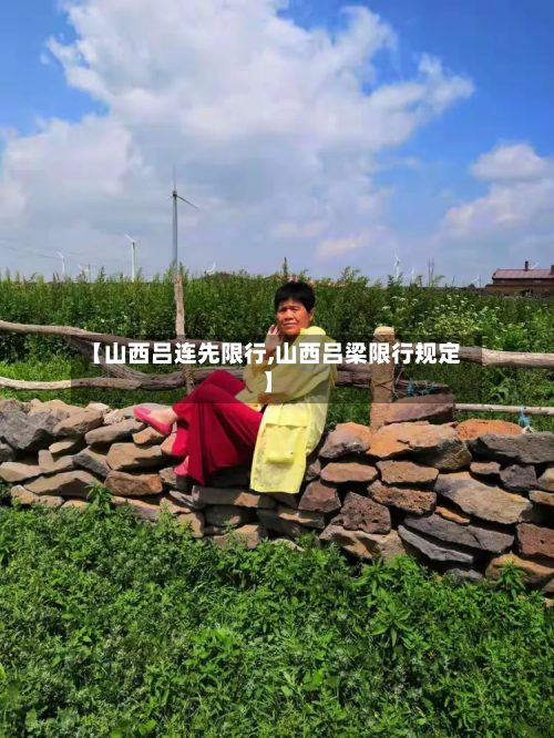 【山西吕连先限行,山西吕梁限行规定】-第3张图片
