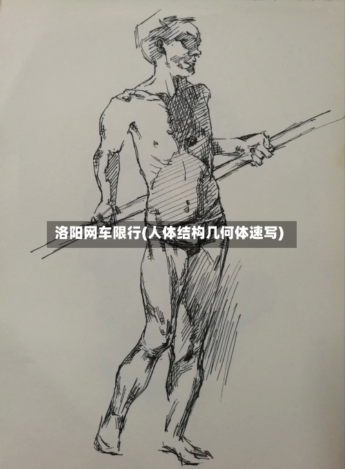 洛阳网车限行(人体结构几何体速写)-第2张图片