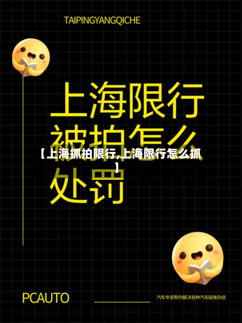 【上海抓拍限行,上海限行怎么抓】-第3张图片