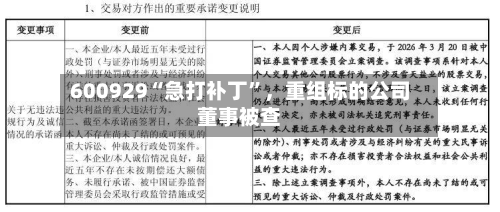 600929“急打补丁”,重组标的公司董事被查