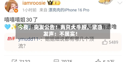 今夜，突发公告！两只大牛股，紧急发声：不属实！-第2张图片