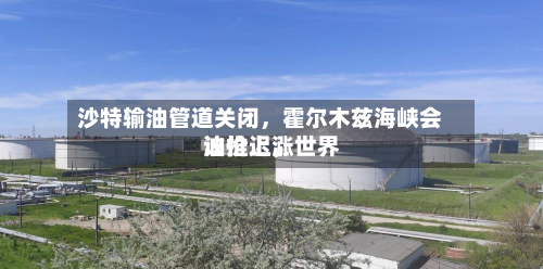 沙特输油管道关闭，霍尔木兹海峡会议推迟，世界油价上涨