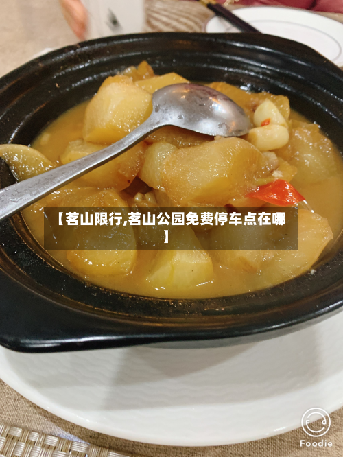 【茗山限行,茗山公园免费停车点在哪】-第3张图片