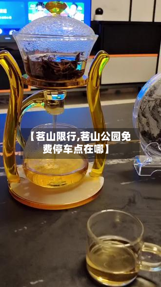 【茗山限行,茗山公园免费停车点在哪】-第2张图片