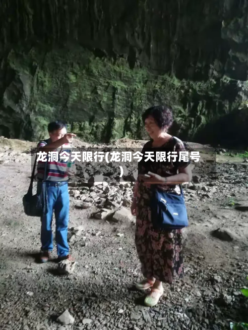 龙洞今天限行(龙洞今天限行尾号)-第2张图片