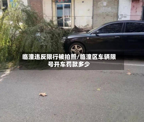 临潼违反限行被拍照/临潼区车辆限号开车罚款多少
