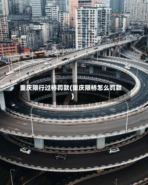 重庆限行过桥罚款(重庆限桥怎么罚款)-第2张图片