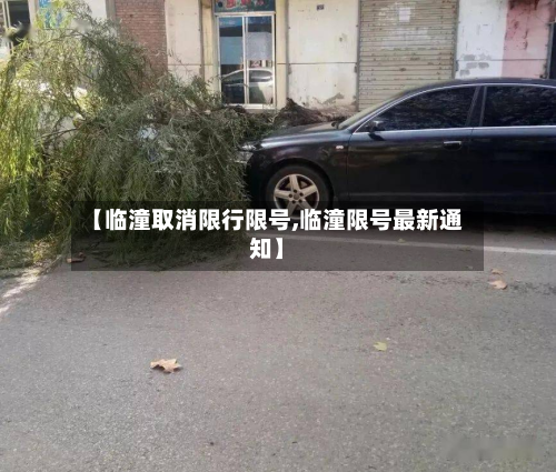 【临潼取消限行限号,临潼限号最新通知】