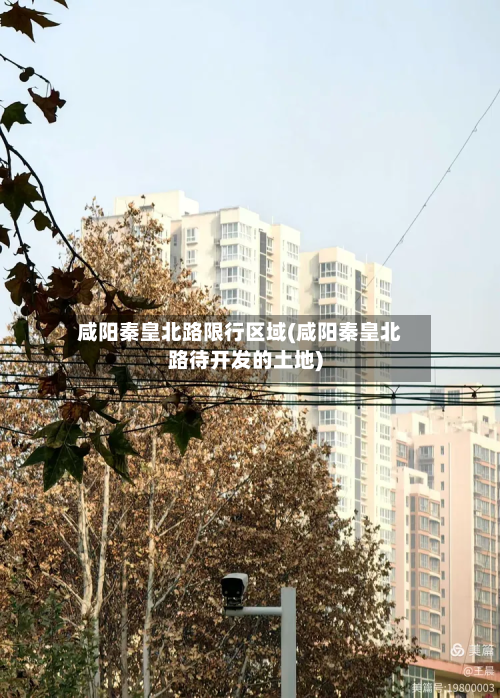 咸阳秦皇北路限行区域(咸阳秦皇北路待开发的土地)