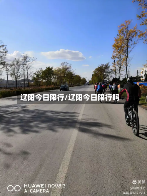 辽阳今日限行/辽阳今日限行吗-第3张图片