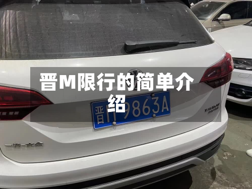 晋M限行的简单介绍