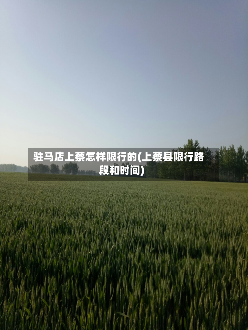 驻马店上蔡怎样限行的(上蔡县限行路段和时间)