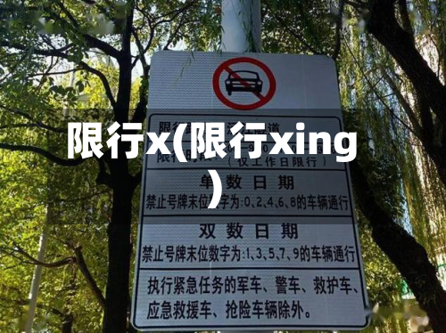 限行x(限行xing)-第1张图片
