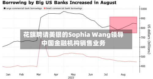 花旗聘请美银的Sophia Wang领导中国金融机构销售业务-第2张图片