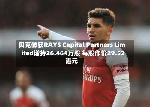 贝克微获RAYS Capital Partners Limited增持26.464万股 每股作价29.52港元-第1张图片
