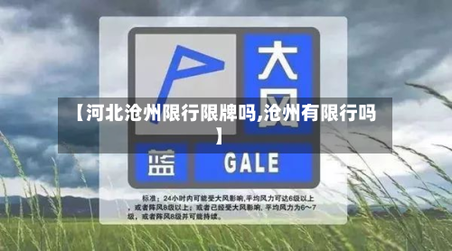 【河北沧州限行限牌吗,沧州有限行吗】-第3张图片