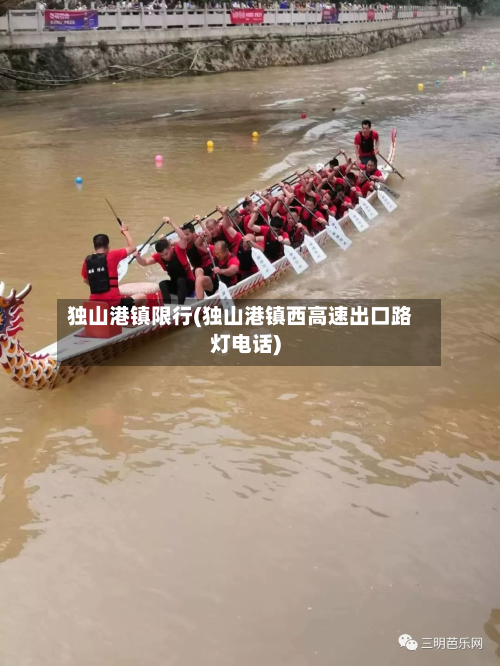 独山港镇限行(独山港镇西高速出口路灯电话)-第2张图片