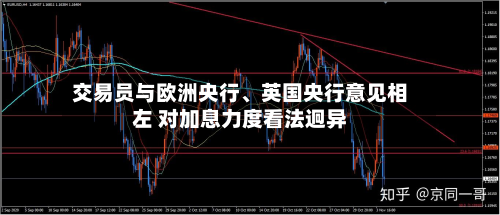 交易员与欧洲央行、英国央行意见相左 对加息力度看法迥异-第2张图片