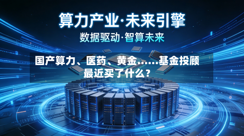 国产算力、医药、黄金……基金投顾最近买了什么？