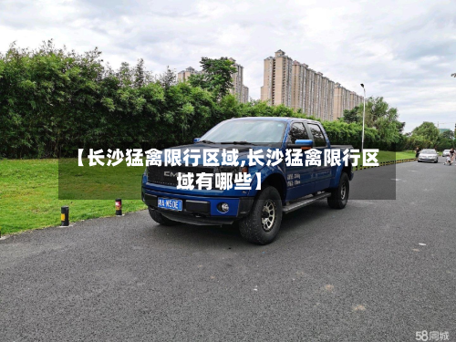 【长沙猛禽限行区域,长沙猛禽限行区域有哪些】