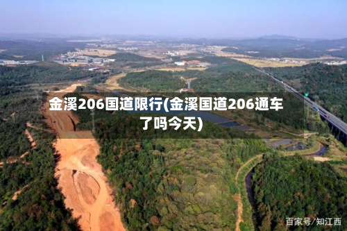 金溪206国道限行(金溪国道206通车了吗今天)
