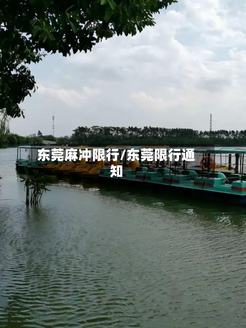 东莞麻冲限行/东莞限行通知-第3张图片