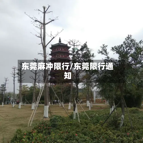东莞麻冲限行/东莞限行通知-第2张图片