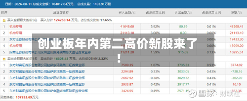 创业板年内第二高价新股来了！