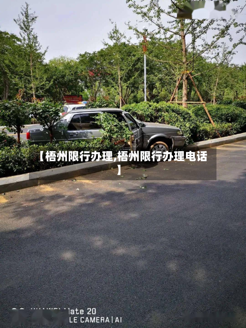 【梧州限行办理,梧州限行办理电话】-第3张图片