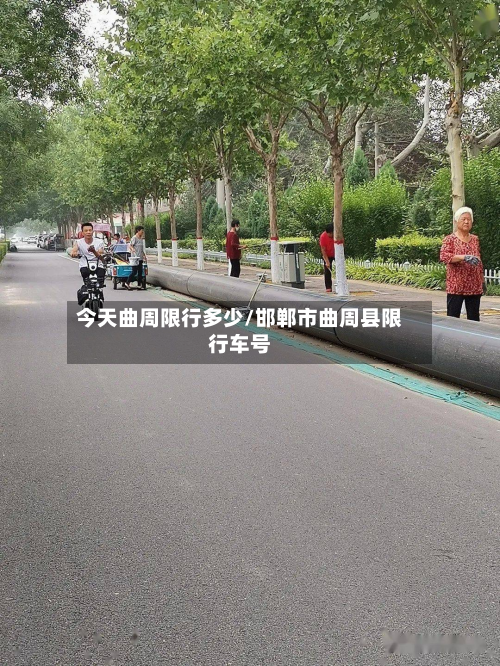 今天曲周限行多少/邯郸市曲周县限行车号