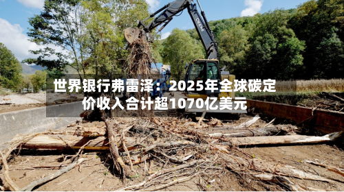 世界银行弗雷泽:2025年全球碳定价收入合计超1070亿美元-第1张图片