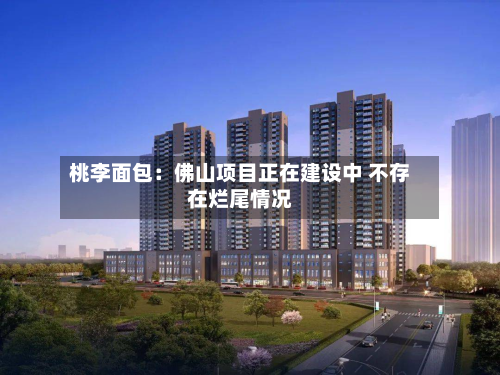 桃李面包：佛山项目正在建设中 不存在烂尾情况-第3张图片